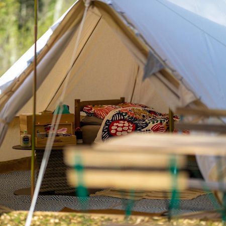 Naturally Glamping Kingsteignton ภายนอก รูปภาพ