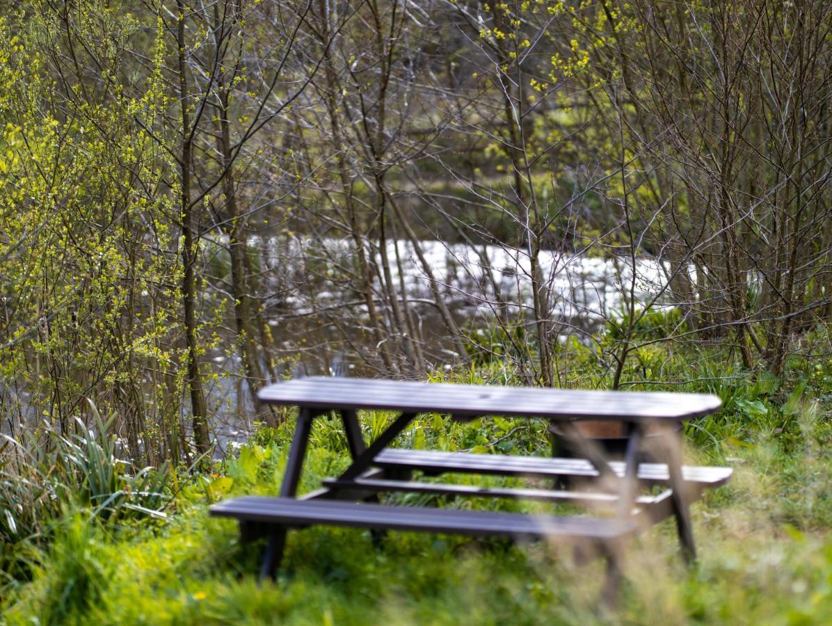 Naturally Glamping Kingsteignton ภายนอก รูปภาพ