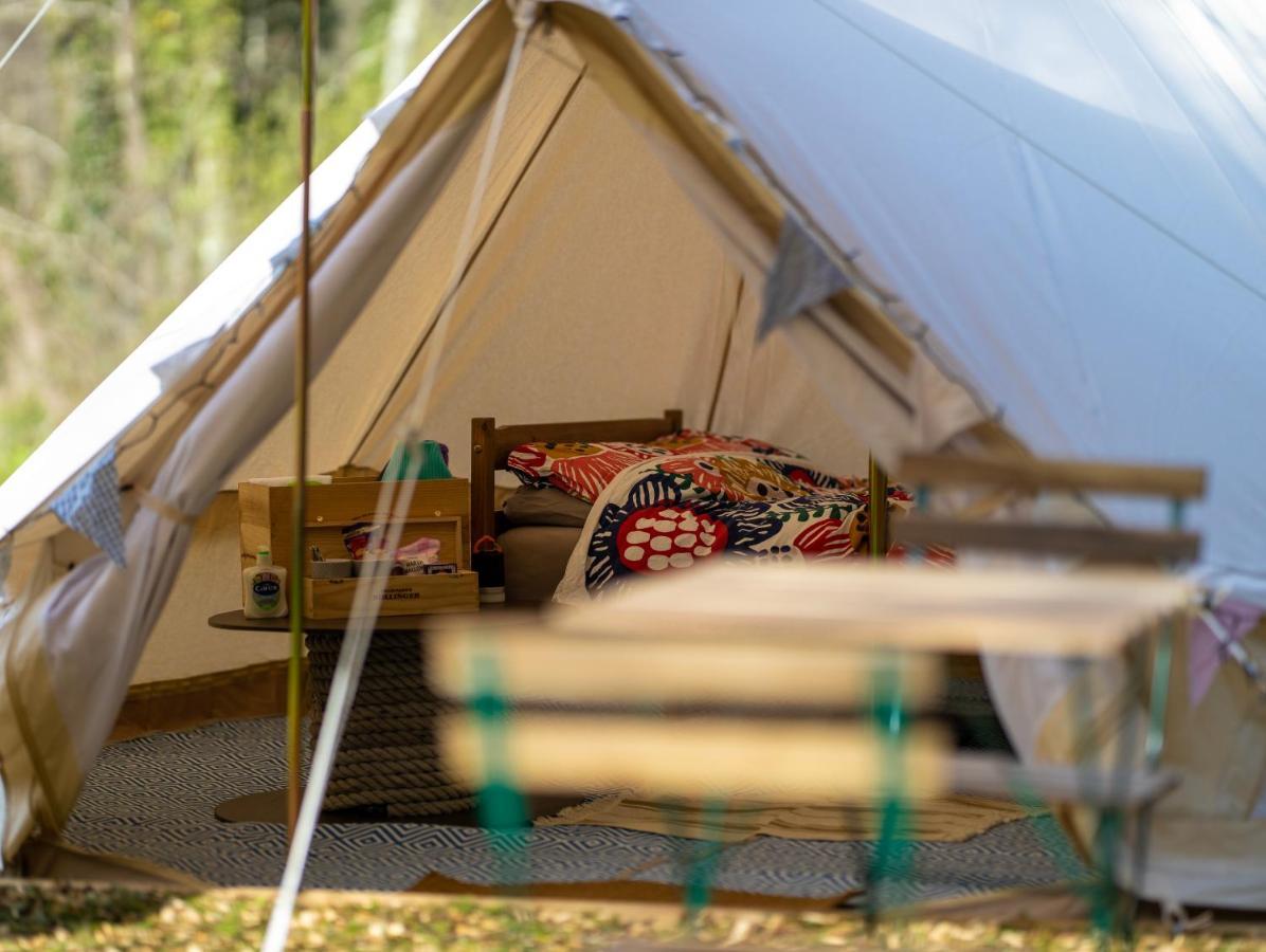 Naturally Glamping Kingsteignton ภายนอก รูปภาพ